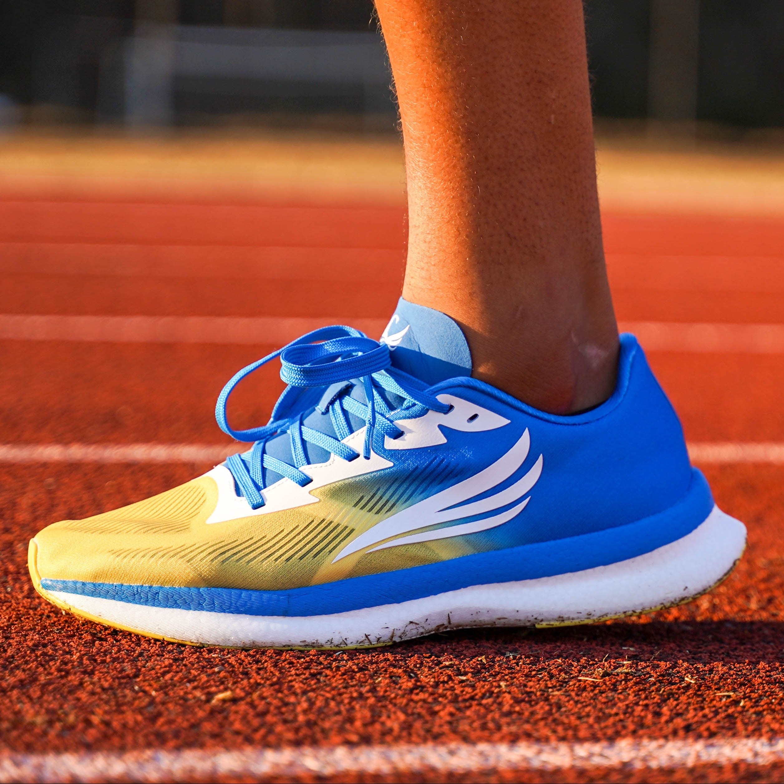 EQUUS Blue Men Speed Shoe